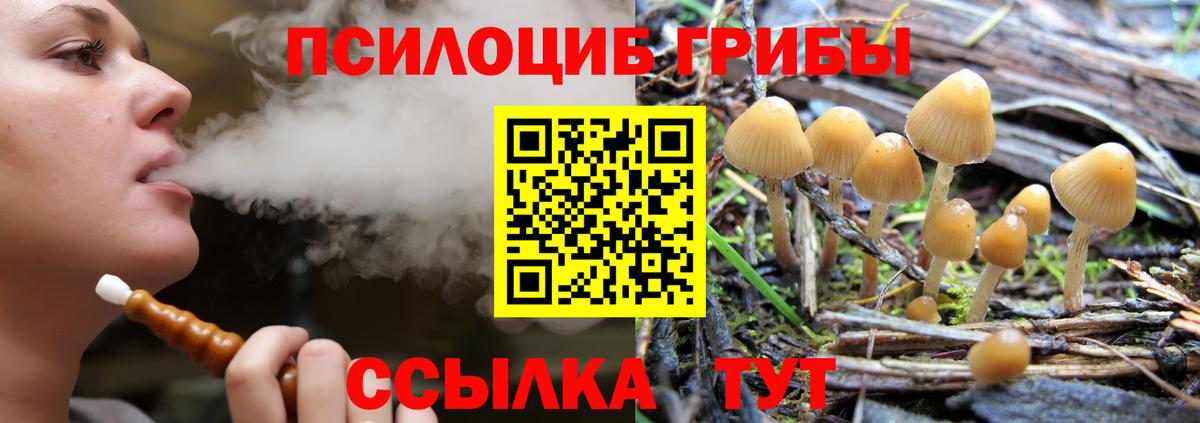 Псилоцибиновые грибы прущие грибы Куйбышев