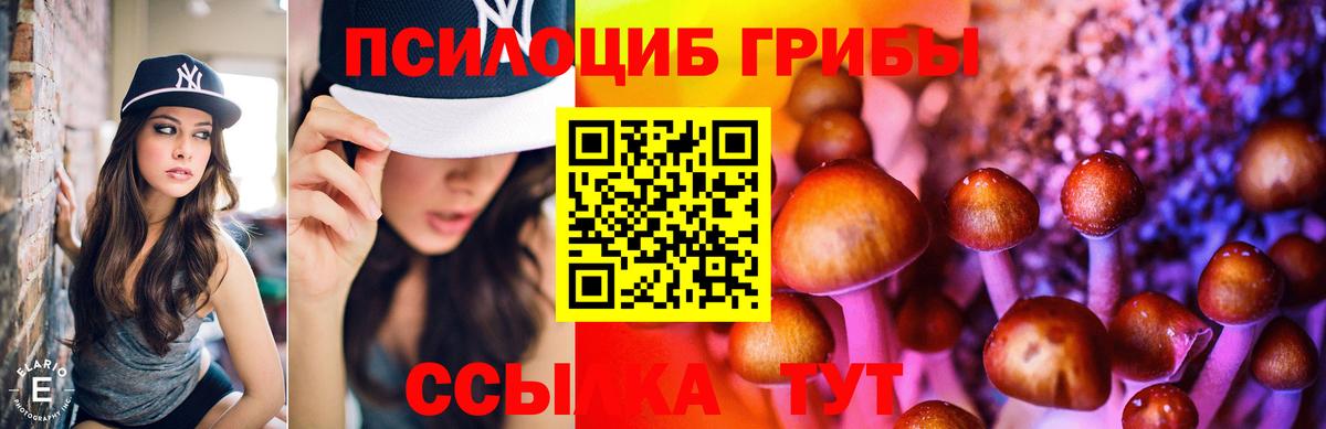 Галлюциногенные грибы прущие грибы  Вход с VPN  Куйбышев  Псилоцибиновые грибы MAGIC MUSHROOMS 